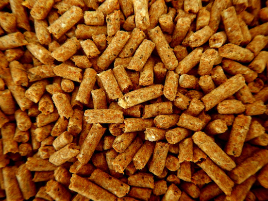 rabbit pellets